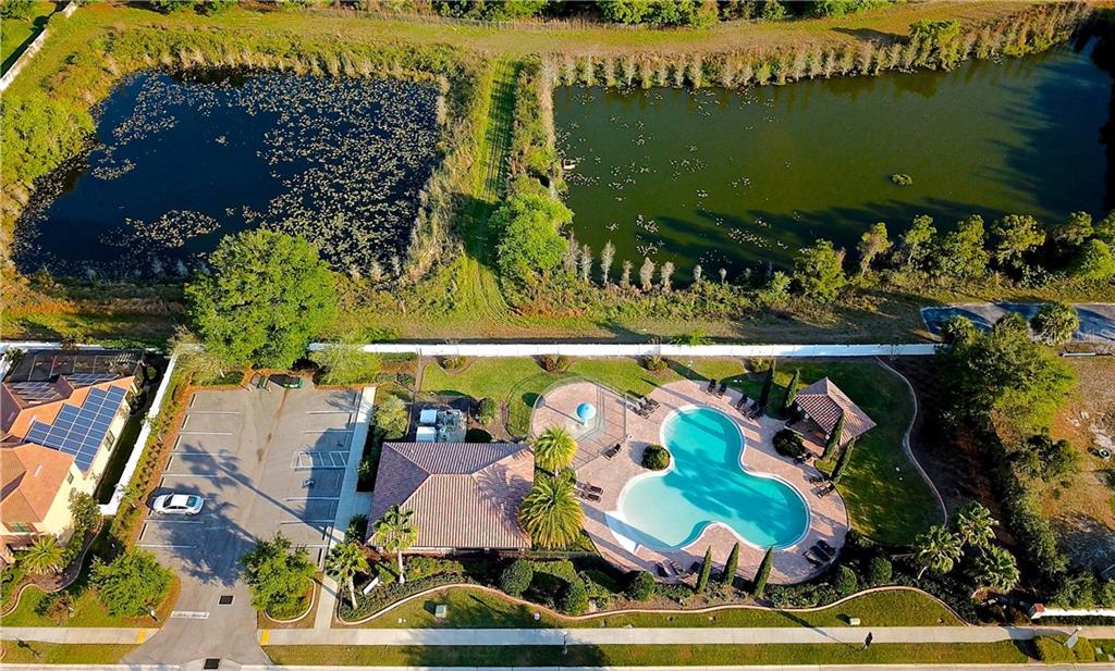 Land O Lakes neighborhoods